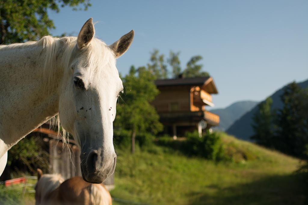 Ferienhaus Oetztal Hotel Sautens Luaran gambar