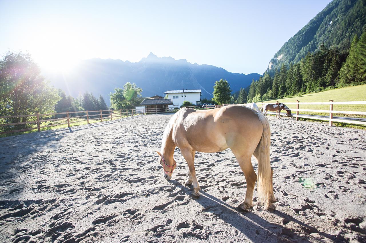 Ferienhaus Oetztal Hotel Sautens Luaran gambar